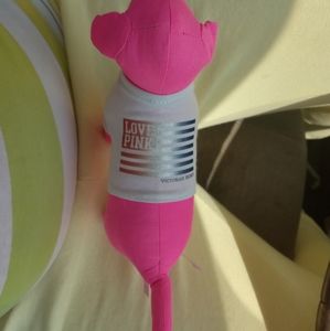 DO NOT BUY THIS ILL CANCLE IT!!!! Pink flag Shirt dog